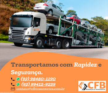 empresa de mudança